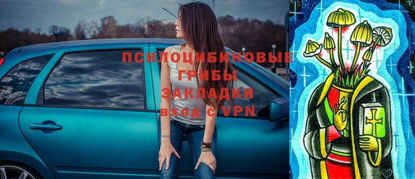 соль ск Арсеньев
