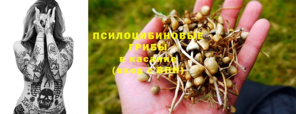 дмт Армянск