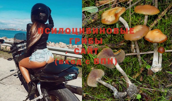 винт Аркадак